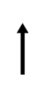 20180917191832639